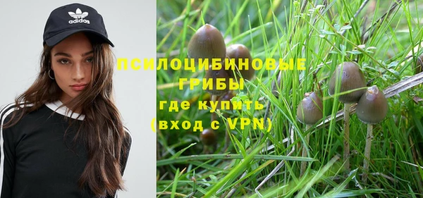 синтетический гашиш Медногорск