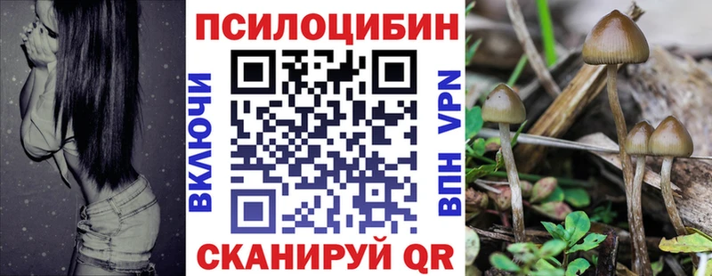Галлюциногенные грибы Cubensis  закладка  Талица 