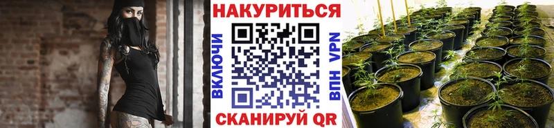 Бошки марихуана THC 21%  Талица 